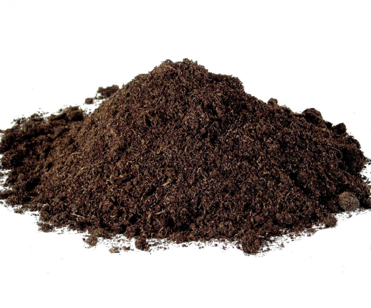 Erde zur Anzucht von Jungpflanzen